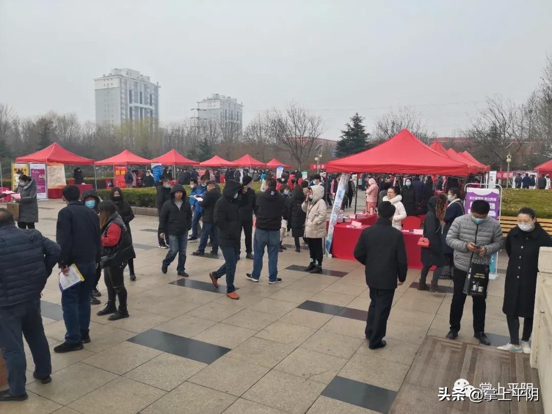 admin 第515页