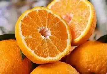 烟台红富士苹果最新价格分析