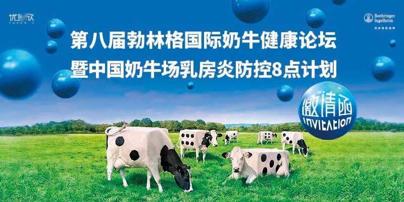 山东奶牛牧场最新招聘信息