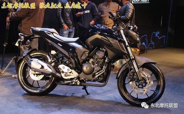 雅马哈250飞致最新信息解析与展望