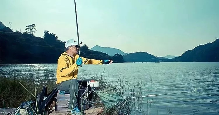贾云鹏最新钓鱼视频，垂钓乐趣与技巧探索