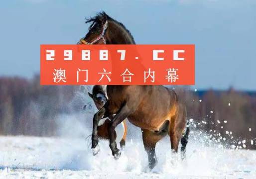 澳门王中王一肖一码一中|精选解释解析落实