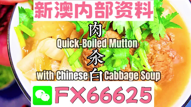 管家婆一码一肖资料免费|精选解释解析落实