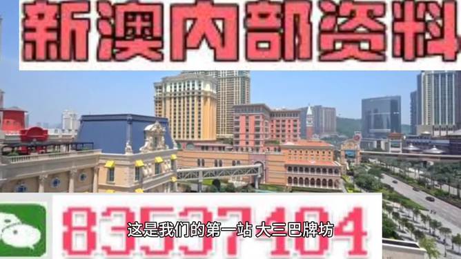 2024澳门精准正版资料63期|精选解释解析落实