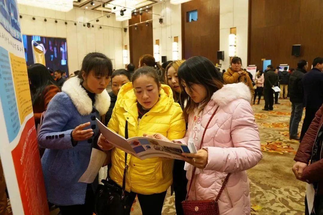 陕西西乡最新招聘信息详解，全面解读岗位与待遇