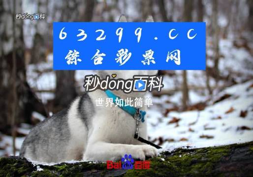 2024年12月16日 第92页