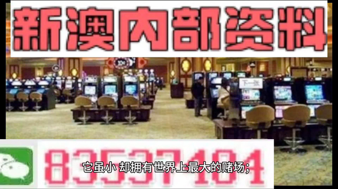 2024新澳门精准正版资料大全|精选解释解析落实