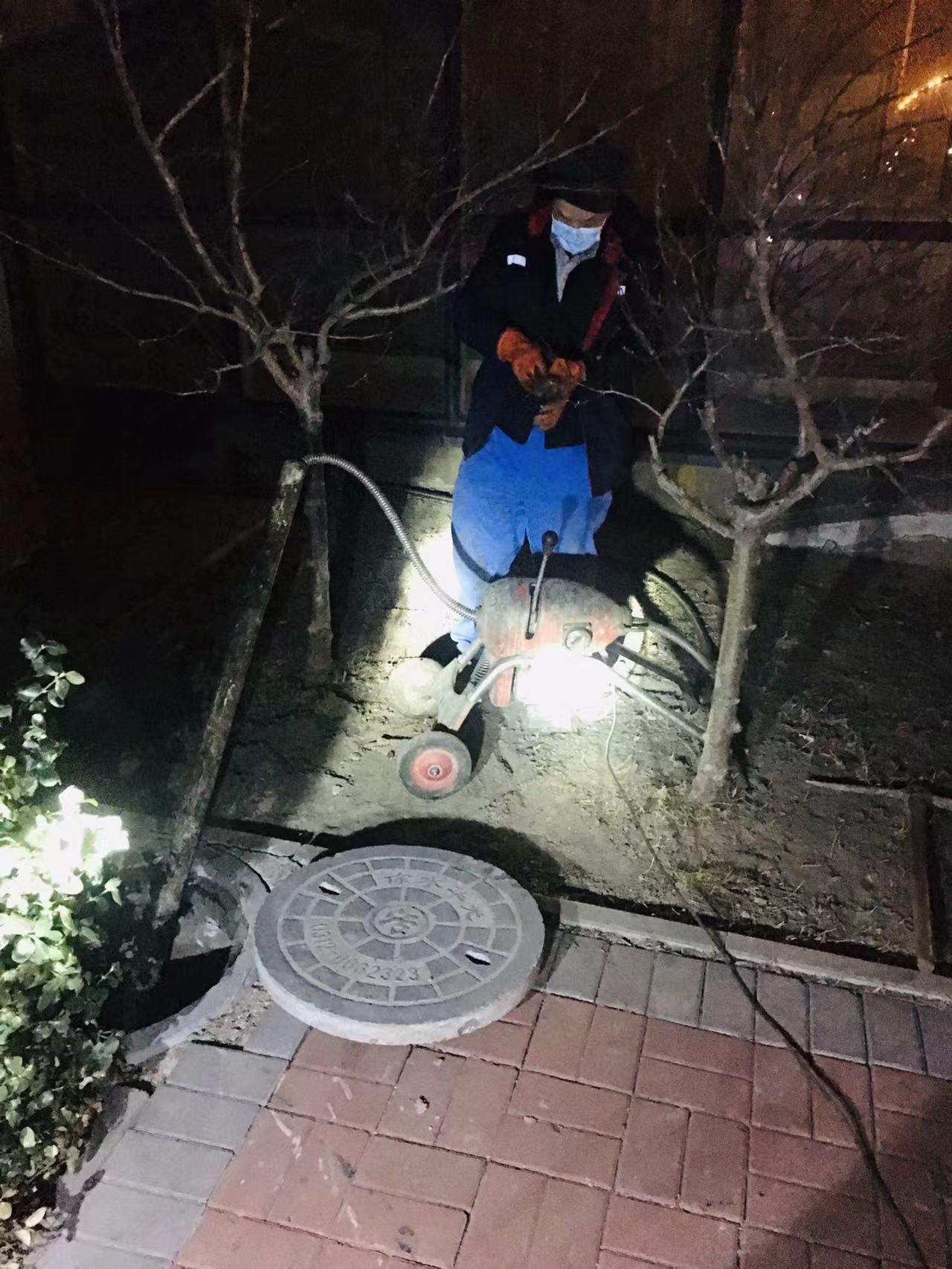 紫润别苑，现代居住魅力与变迁的探索最新动态