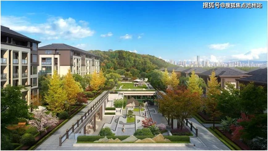 安国最新24小时天气详解