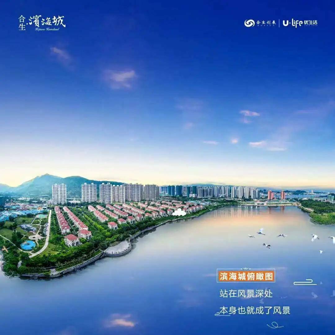 2024年12月20日 第4页
